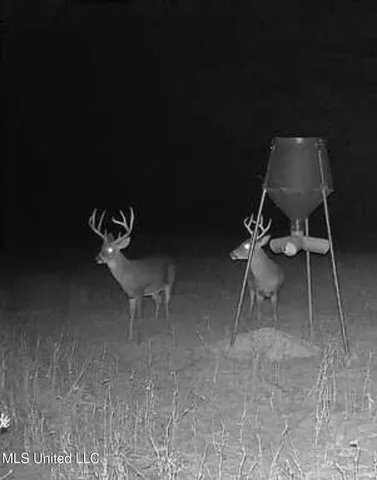 $349,900 | 2225 County Road, Kosciusko, MS 39090