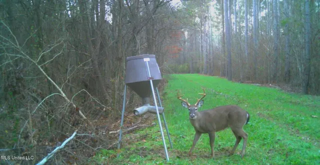 $349,900 | 2225 County Road, Kosciusko, MS 39090