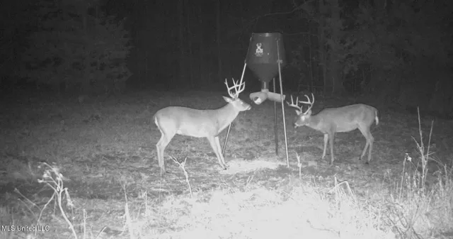 $349,900 | 2225 County Road, Kosciusko, MS 39090