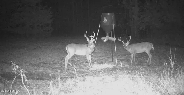 $349,900 | 2225 County Road, Kosciusko, MS 39090