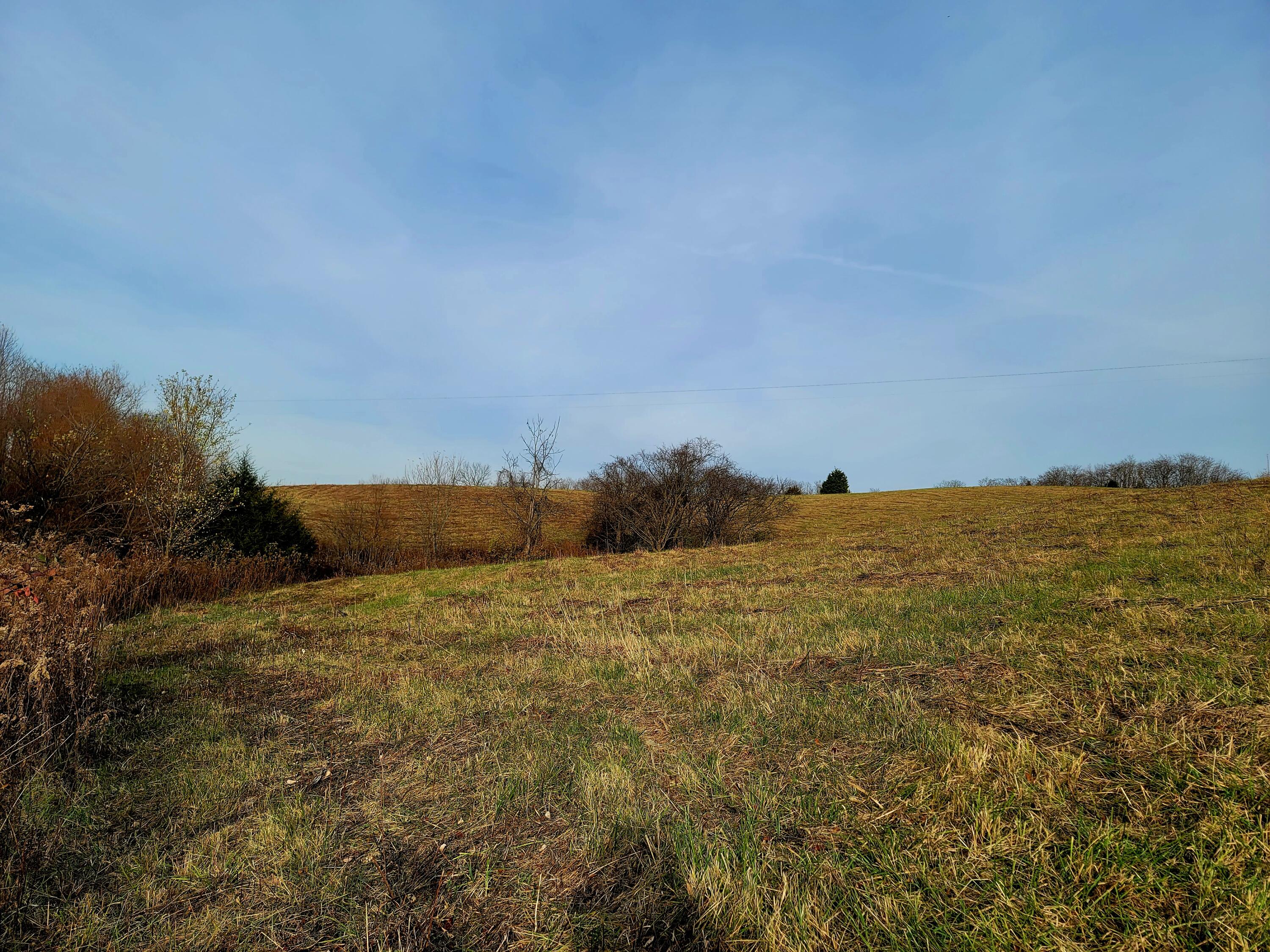 121 Rockridge Road Paris, KY 40361 - Photo 12 of 19 20221110_155235