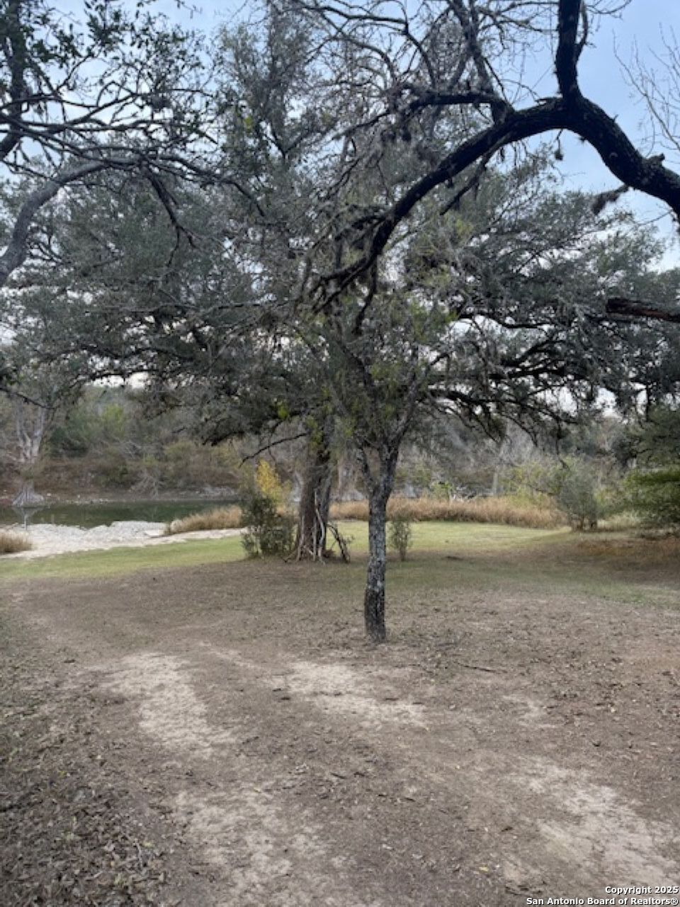 160 Restless Wind Spring Branch, TX 78070 - Photo 16 of 17 a view of dirt yard with a tree