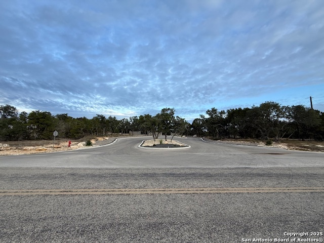 160 Restless Wind Spring Branch, TX 78070 - Photo 5 of 17 a view of a town
