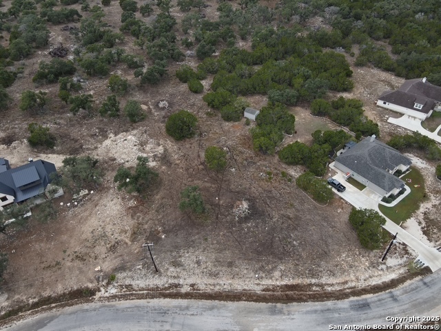 160 Restless Wind Spring Branch, TX 78070 - Photo 7 of 17 a view of a dry yard with trees