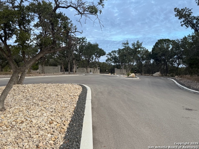 160 Restless Wind Spring Branch, TX 78070 - Photo 9 of 17