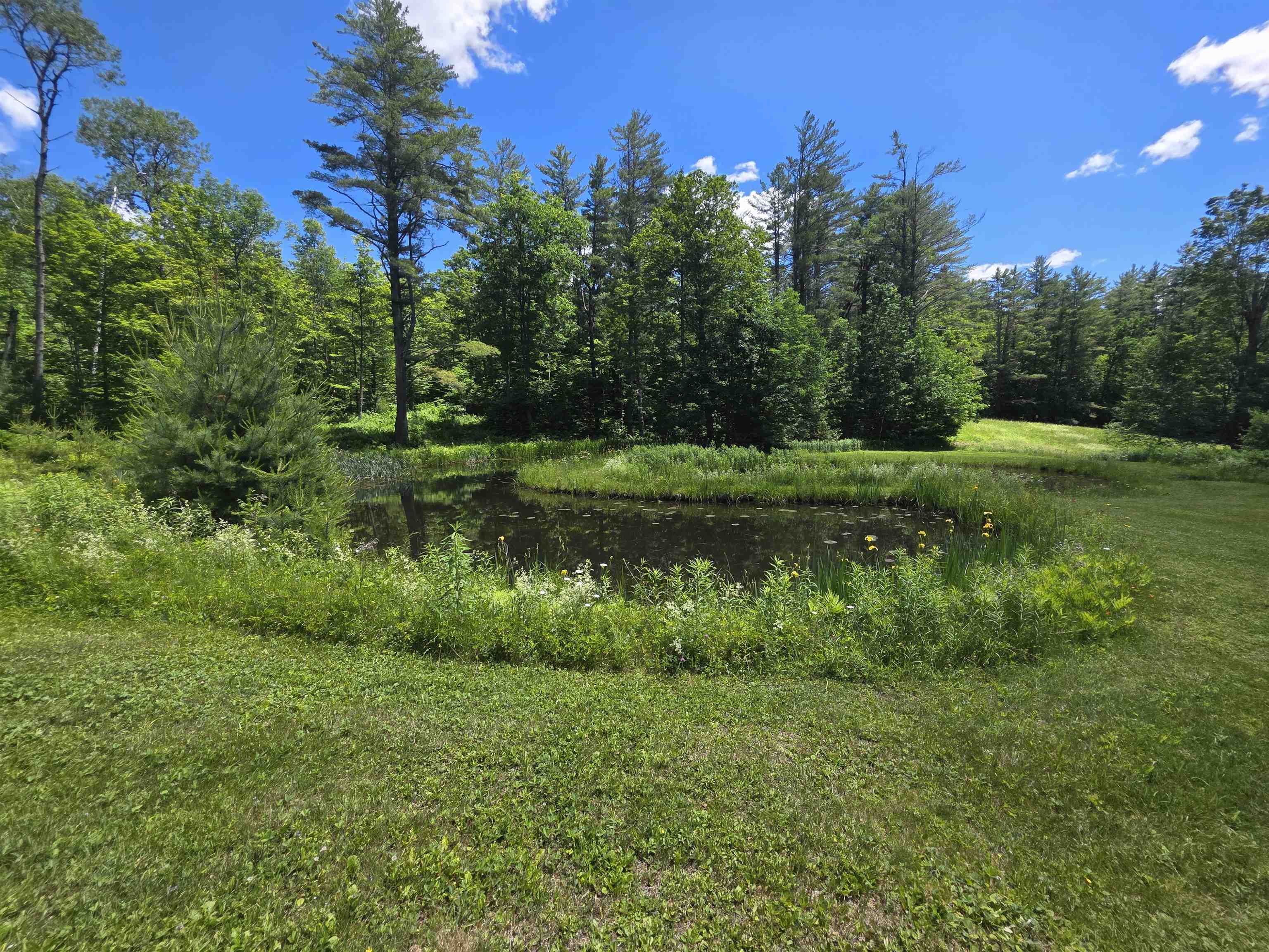 596 4 Chimneys Road Grafton, VT 05146 - Photo 40 of 50