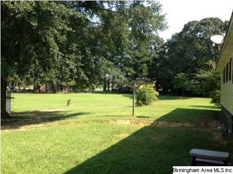 7914 Bethel Road Dora, AL 35062 - Photo 16 of 25