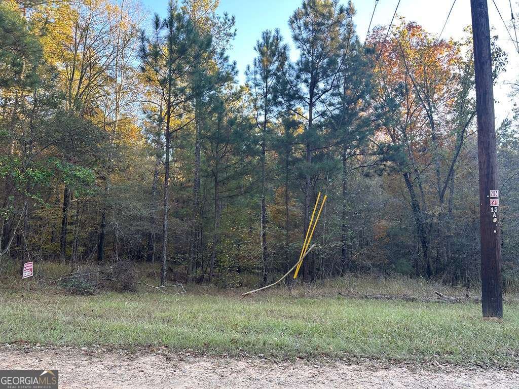 Lot #2 Frontier Shores Road Sparta, GA 31087 - Photo 7 of 15 Gallery Image 7