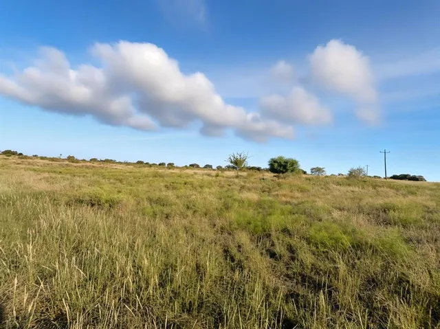 a view of a bunch of trees in a field