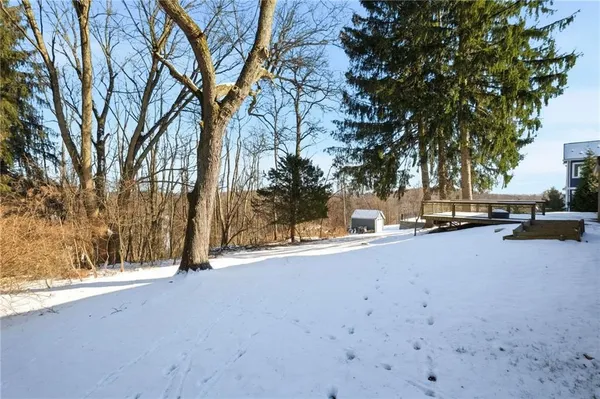 a view of road with a yard