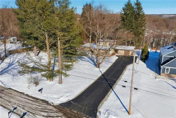 a view of a yard from a patio