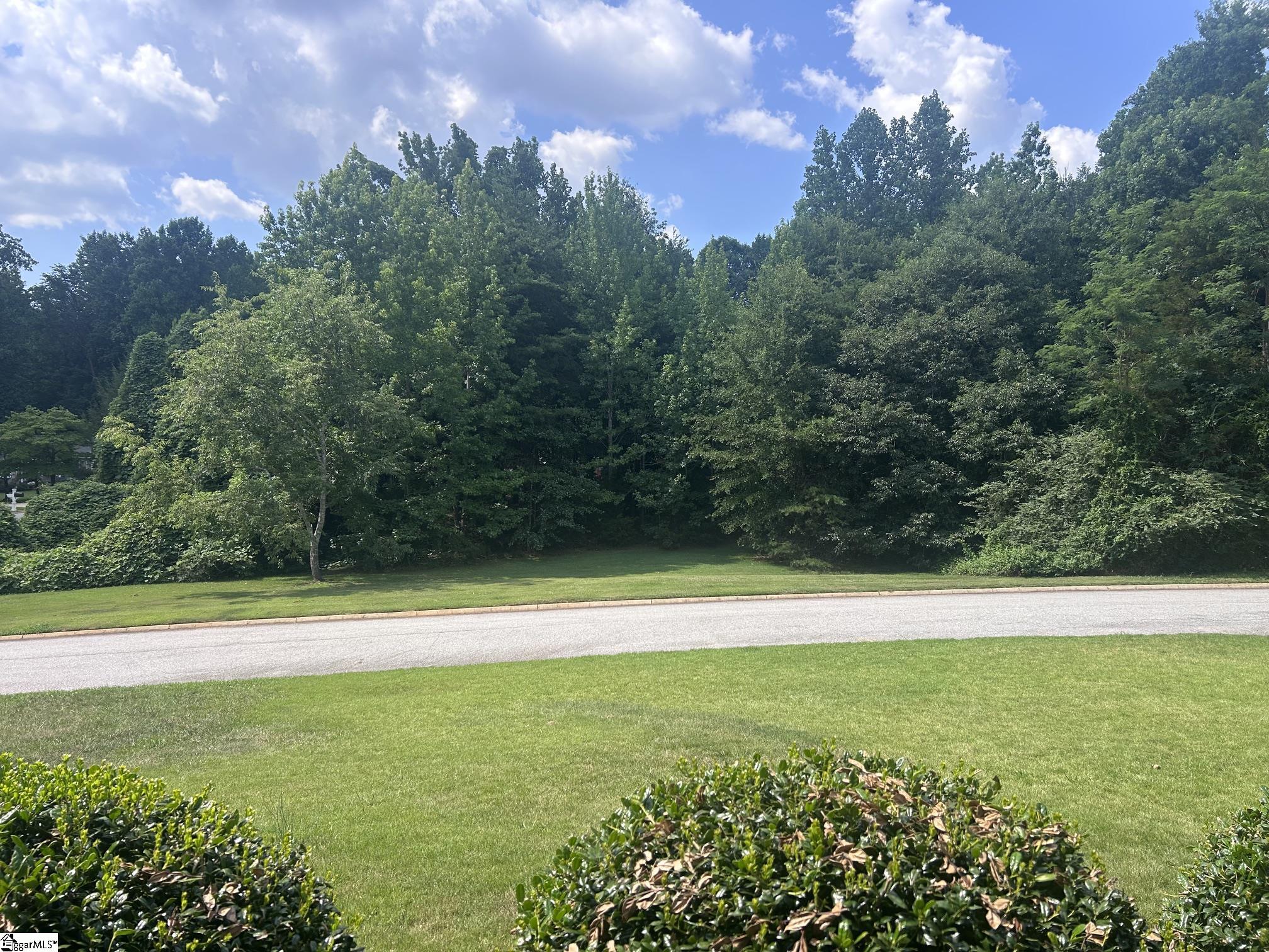 602 Stone Shield Way Greenville, SC 29609 - Photo 4 of 32