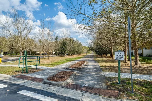 a view of park with trees
