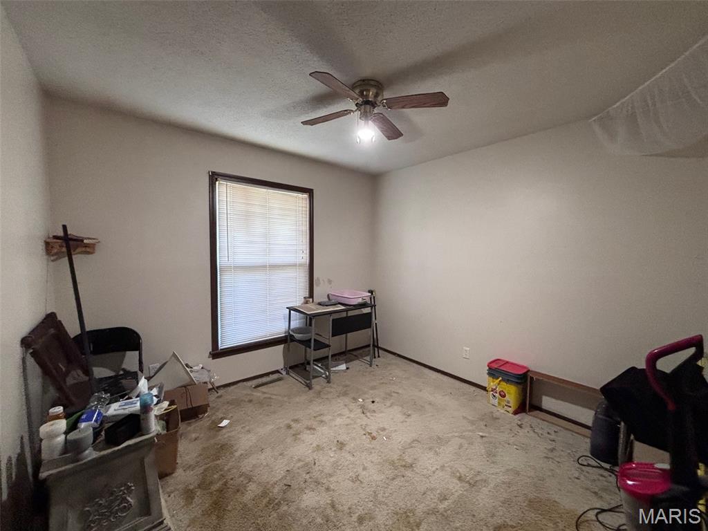 302 Mary Mexico, MO 65265 - Photo 8 of 9