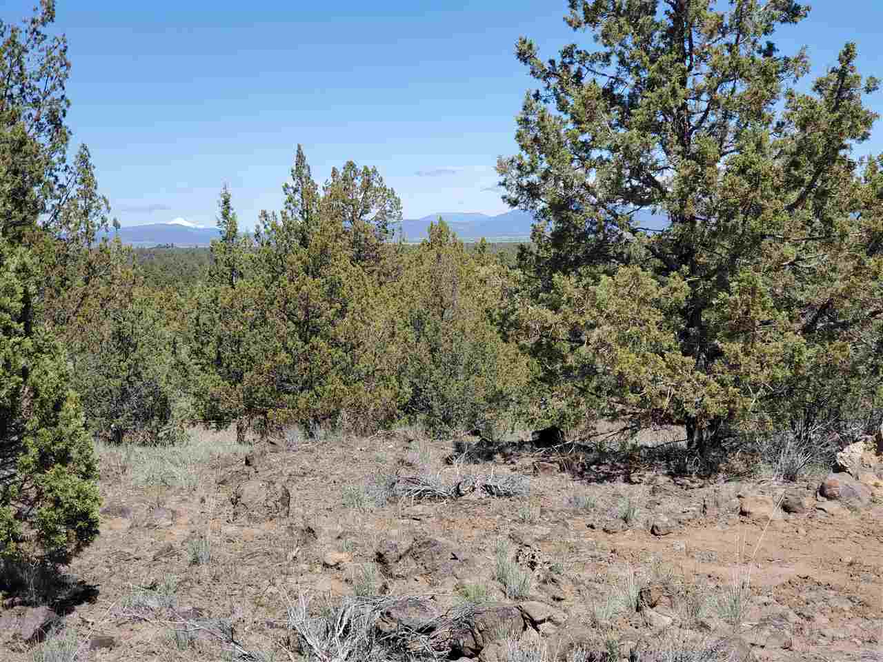 Off Homeland Rd Off Homeland Road Macdoel, CA 96058 - Photo 24 of 24 Gallery Image 24