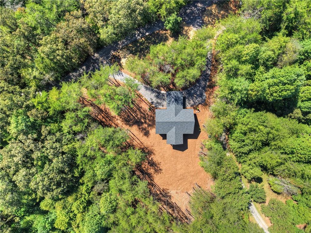 2 Brookhaven Lane Blue Ridge, GA 30513 - Photo 33 of 39