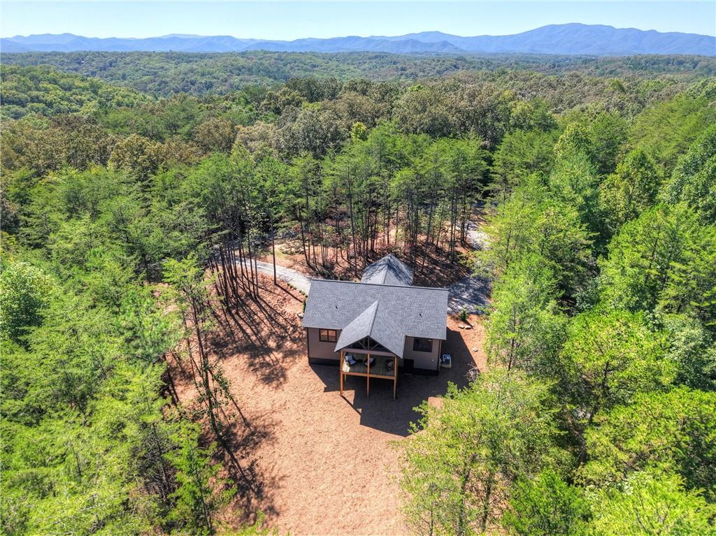 2 Brookhaven Lane Blue Ridge, GA 30513 - Photo 34 of 39