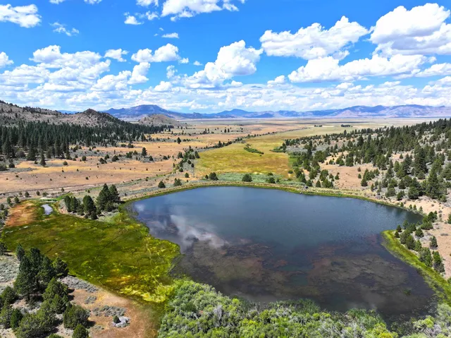 $4,000,000 | 57044 Highway 49, Loyalton, CA 96118