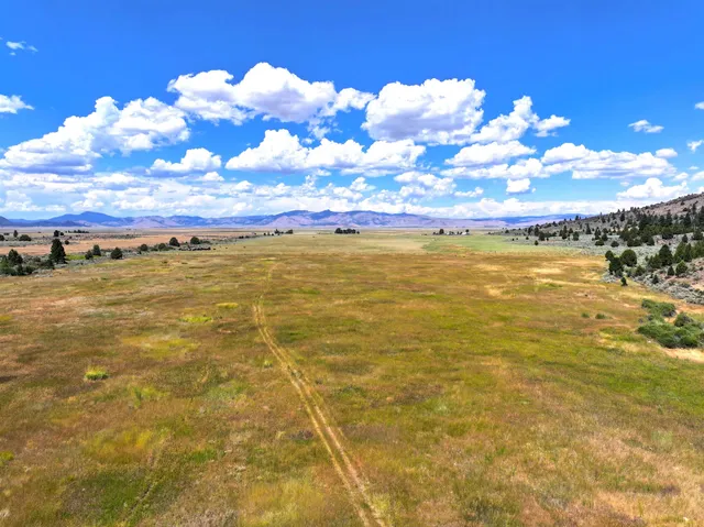 $4,000,000 | 57044 Highway 49, Loyalton, CA 96118