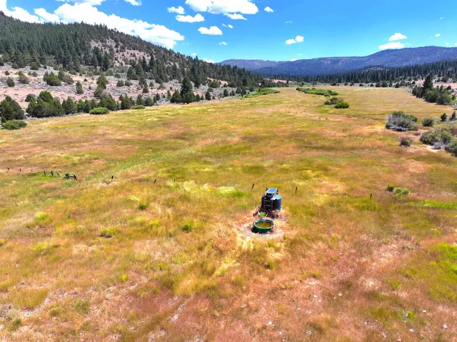 $4,000,000 | 57044 Highway 49, Loyalton, CA 96118