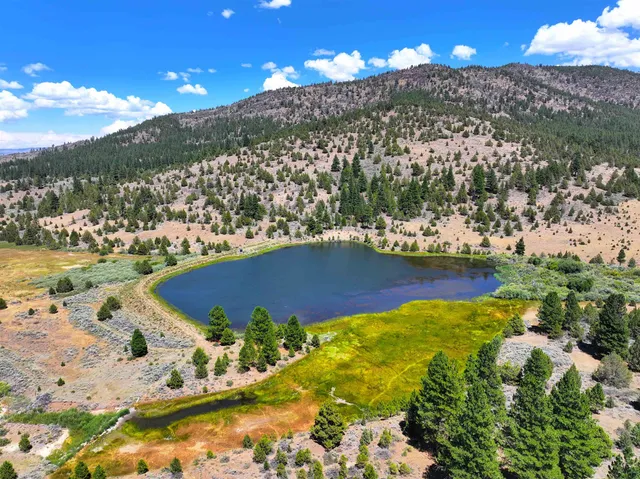 $4,000,000 | 57044 Highway 49, Loyalton, CA 96118