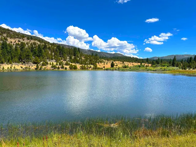 $4,000,000 | 57044 Highway 49, Loyalton, CA 96118