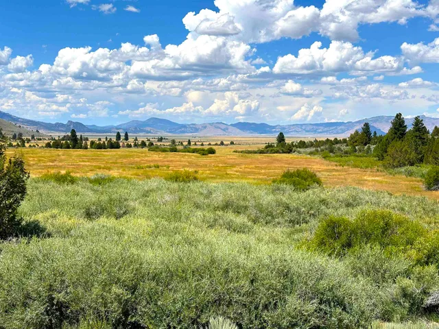 $4,000,000 | 57044 Highway 49, Loyalton, CA 96118