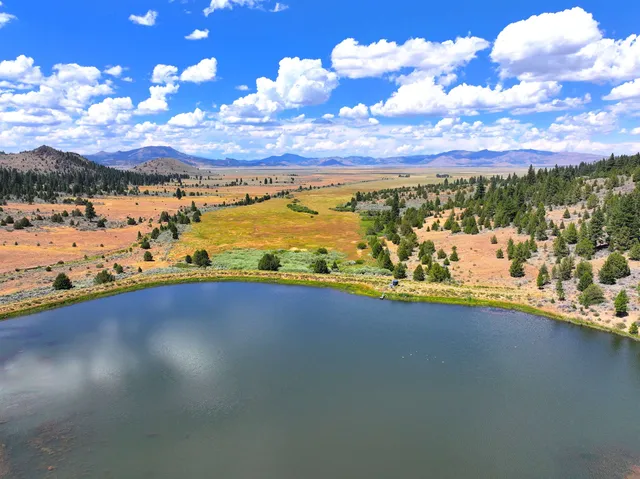 $4,000,000 | 57044 Highway 49, Loyalton, CA 96118