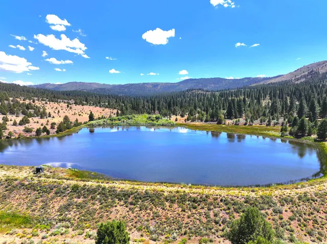 $4,000,000 | 57044 Highway 49, Loyalton, CA 96118