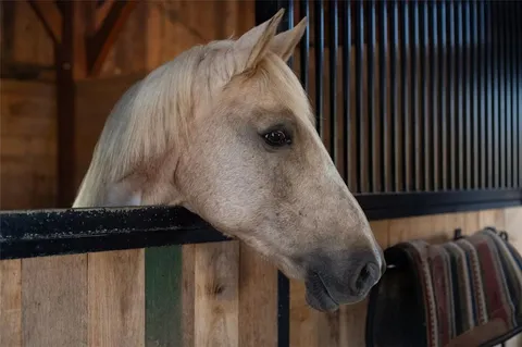 $8,900,000 | 1990 Elder Mill Road, Watkinsville, GA 30677