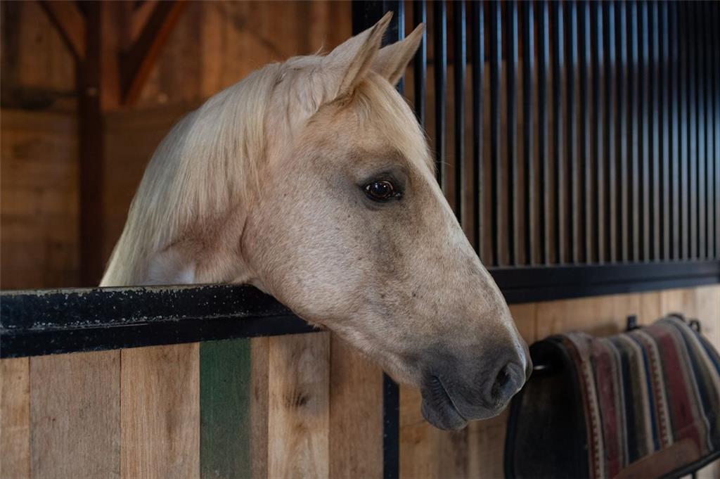 1990 Elder Mill Road Watkinsville, GA 30677 - Photo 52 of 61 a close up of a wall