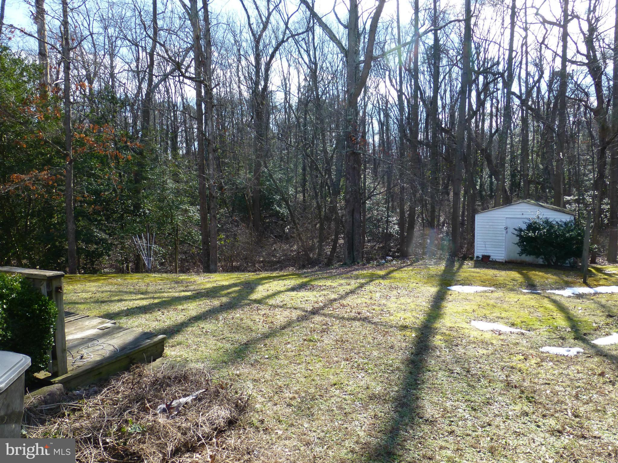 295 Whitaker Road Pasadena, MD 21122 - Photo 19 of 20 SHED ON PROPERTY