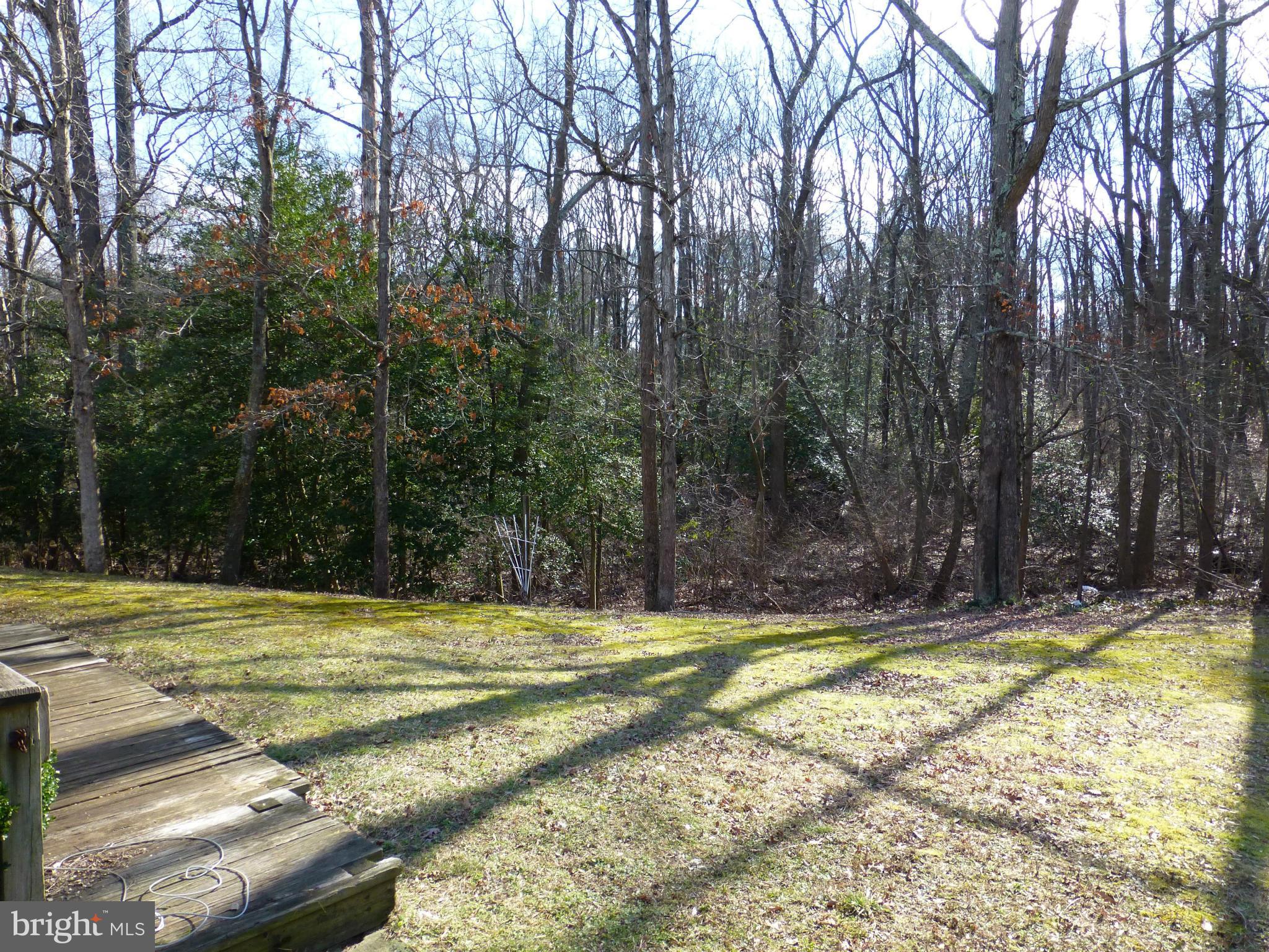 295 Whitaker Road Pasadena, MD 21122 - Photo 20 of 20 WOODS TO SIDE AND REAR OF THIS HOME