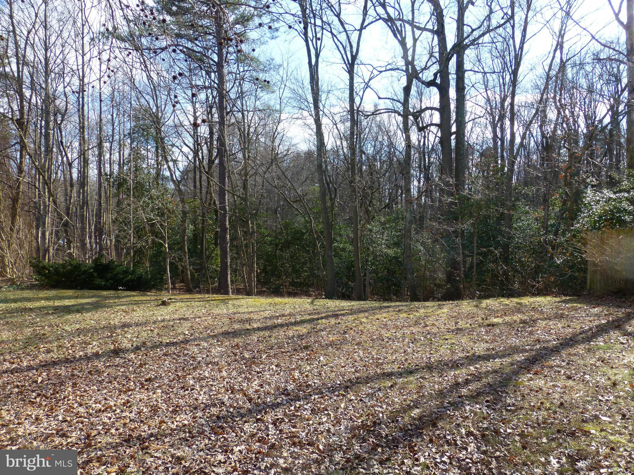 295 Whitaker Road Pasadena, MD 21122 - Photo 4 of 20 NO HOMES, ONLY WOODS TO LEFT SIDE OF PROPERTY