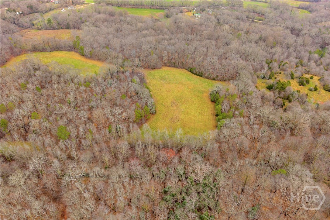 787 Parham Town Road Bowman, GA 30624 - Photo 11 of 48
