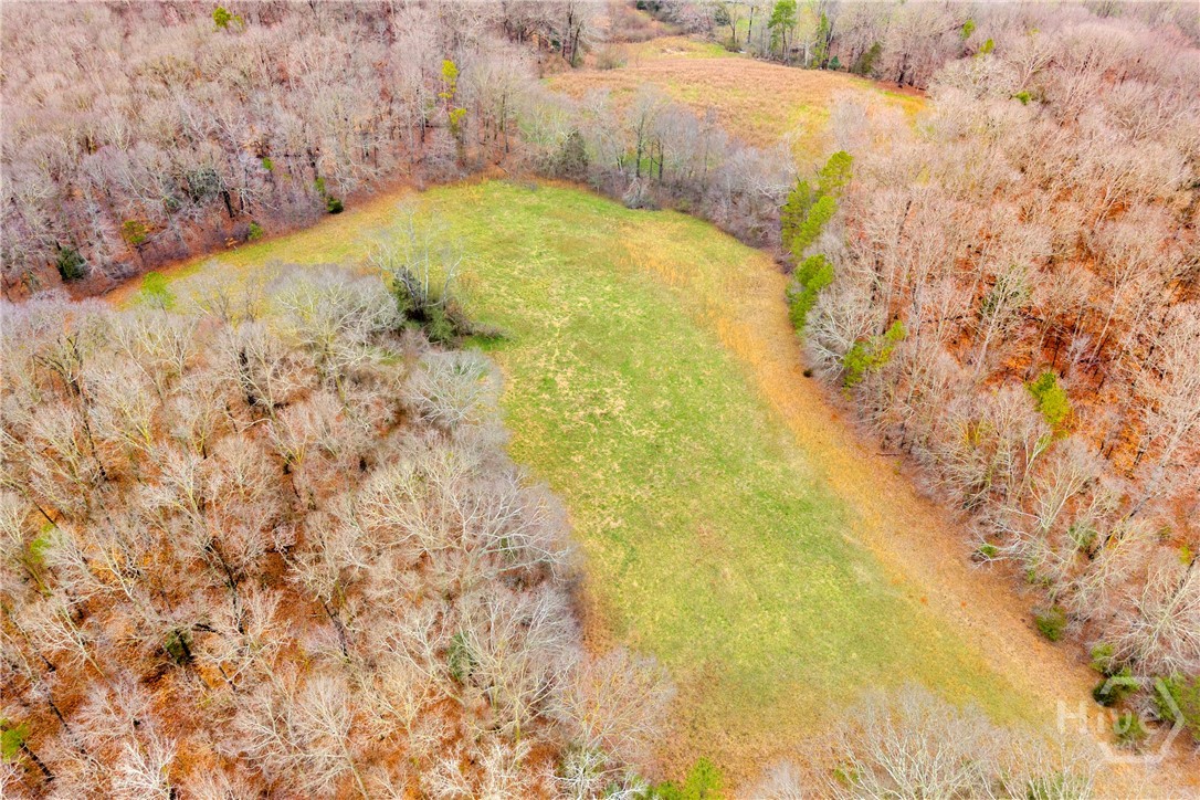 787 Parham Town Road Bowman, GA 30624 - Photo 13 of 48