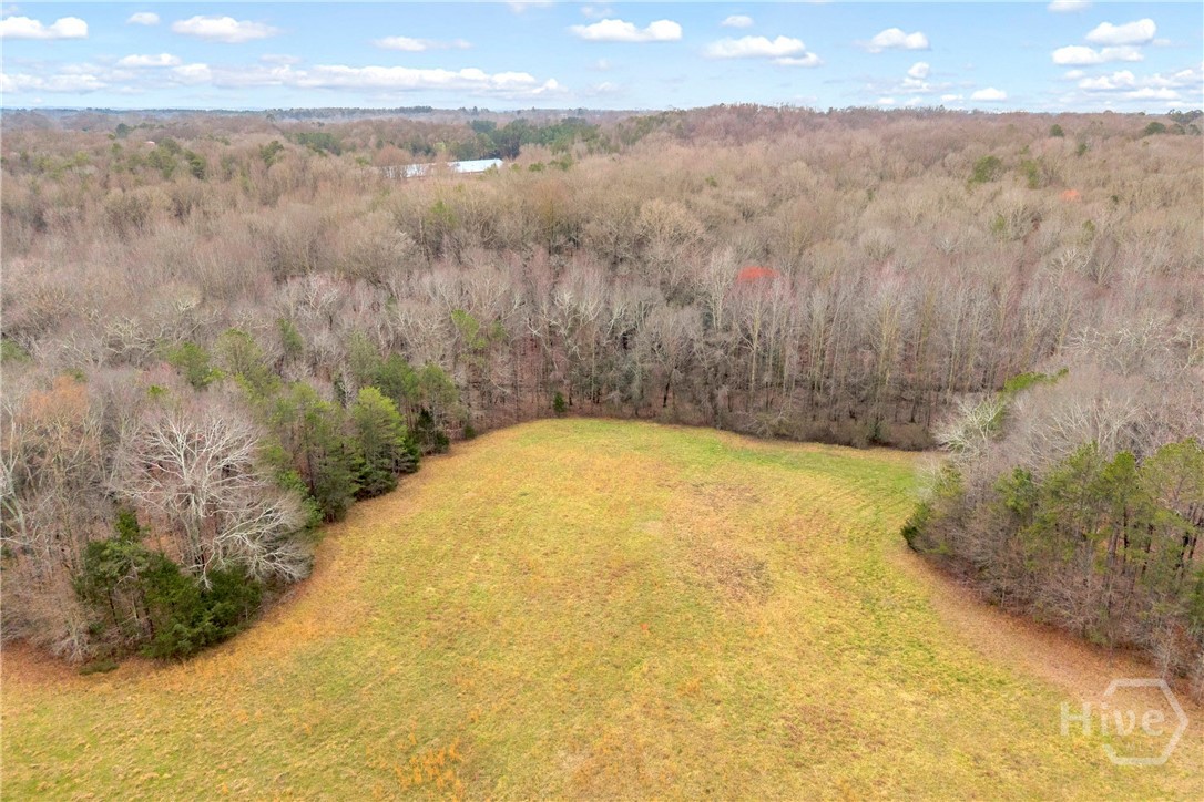 787 Parham Town Road Bowman, GA 30624 - Photo 14 of 48