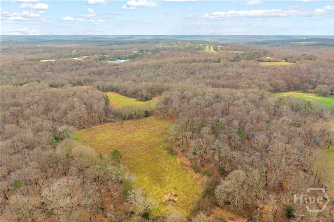 787 Parham Town Road Bowman, GA 30624 - Photo 16 of 48