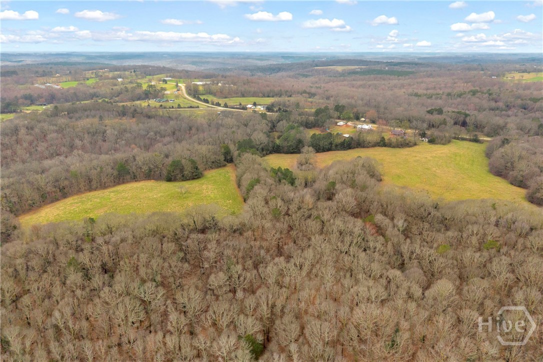 787 Parham Town Road Bowman, GA 30624 - Photo 17 of 48