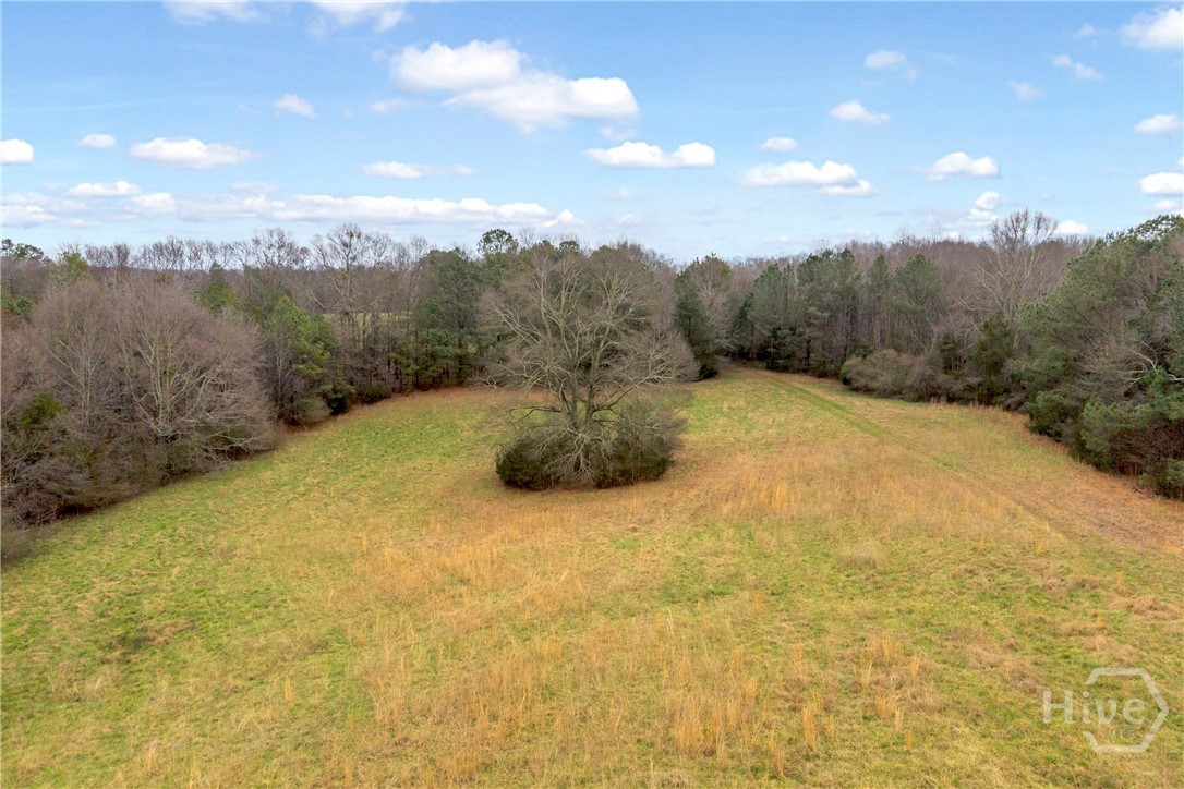 787 Parham Town Road Bowman, GA 30624 - Photo 18 of 48