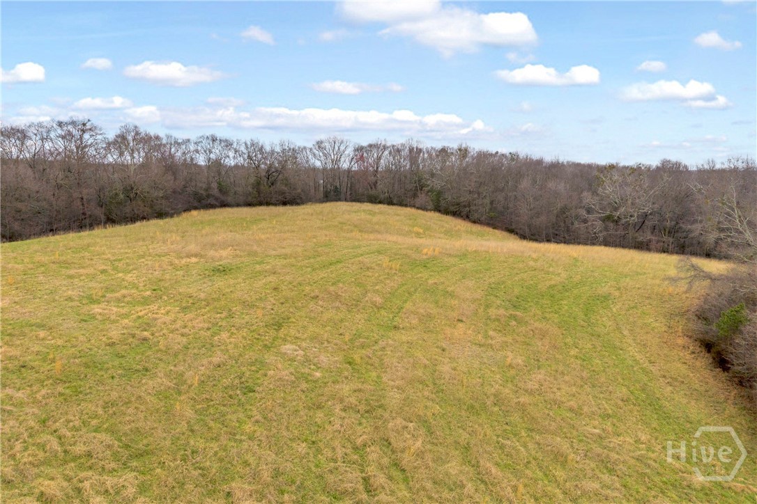 787 Parham Town Road Bowman, GA 30624 - Photo 19 of 48