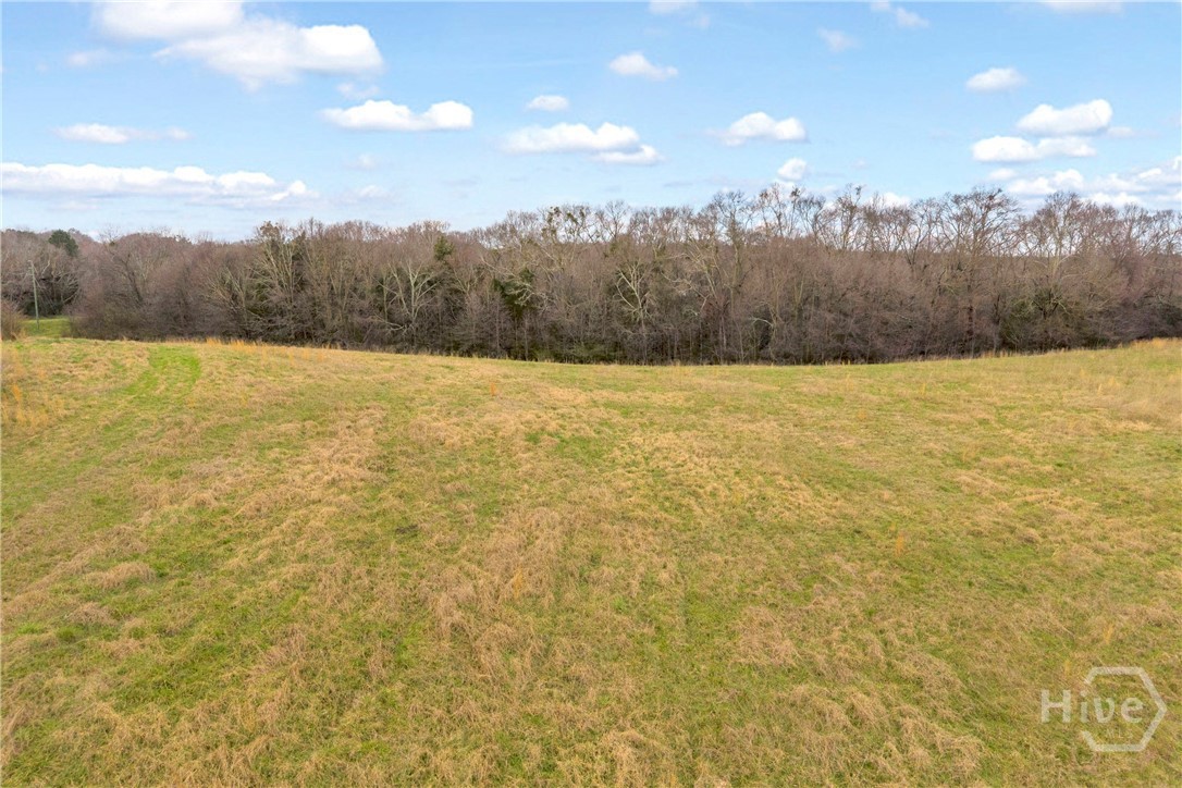 787 Parham Town Road Bowman, GA 30624 - Photo 20 of 48