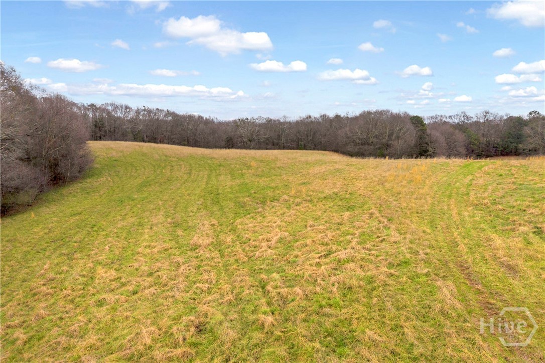 787 Parham Town Road Bowman, GA 30624 - Photo 21 of 48