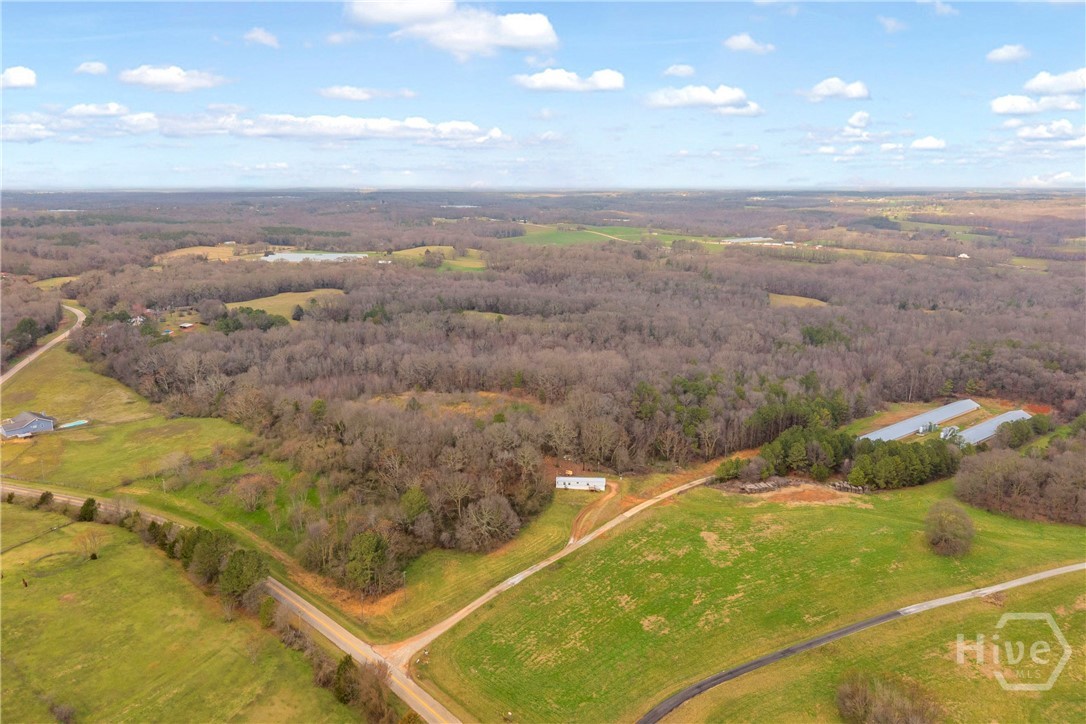 787 Parham Town Road Bowman, GA 30624 - Photo 3 of 48