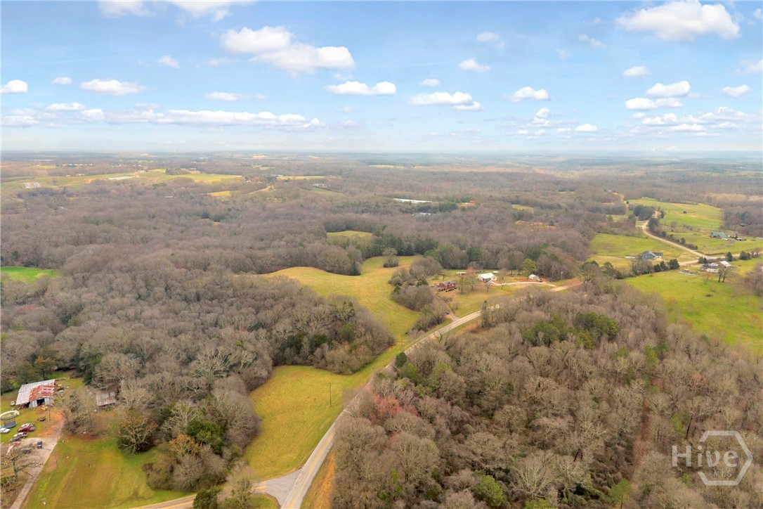 787 Parham Town Road Bowman, GA 30624 - Photo 4 of 48