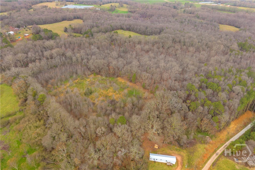 787 Parham Town Road Bowman, GA 30624 - Photo 6 of 48