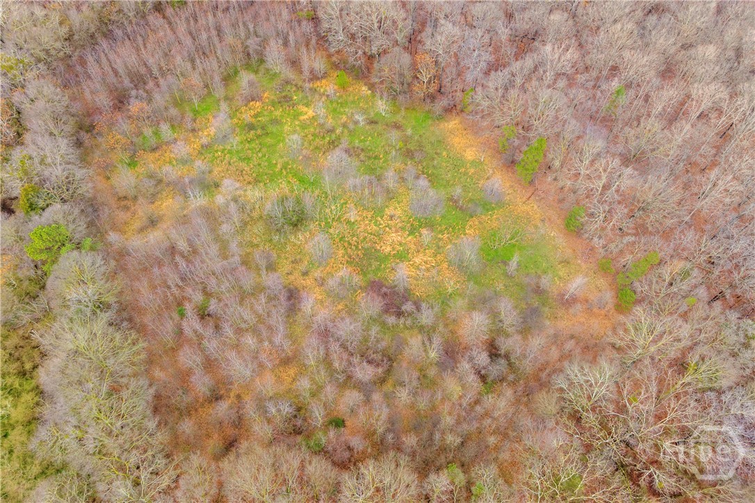 787 Parham Town Road Bowman, GA 30624 - Photo 7 of 48