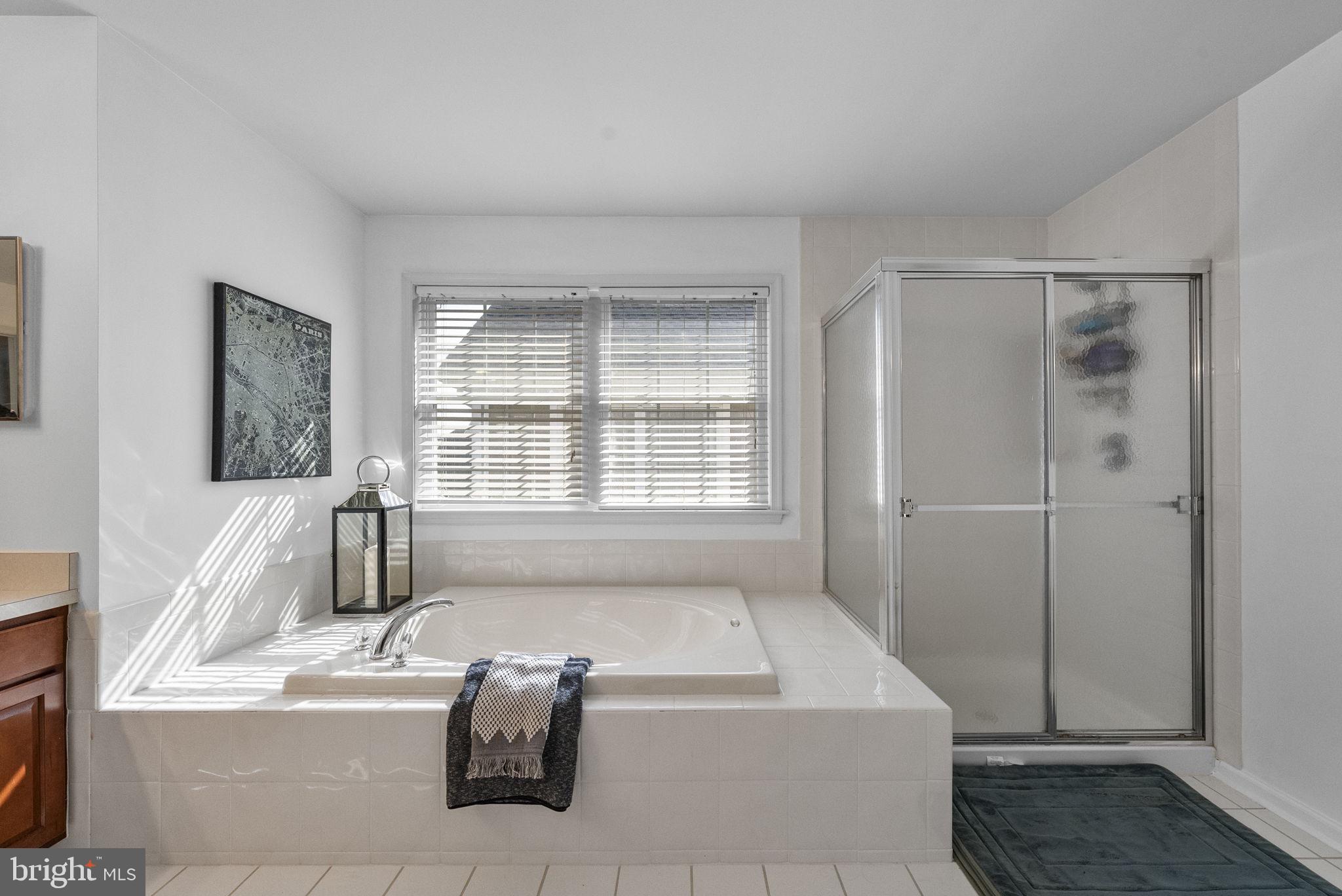 117 George Street Robbinsville, NJ 08691 - Photo 34 of 55 a spacious bathroom with a bathtub and a shower