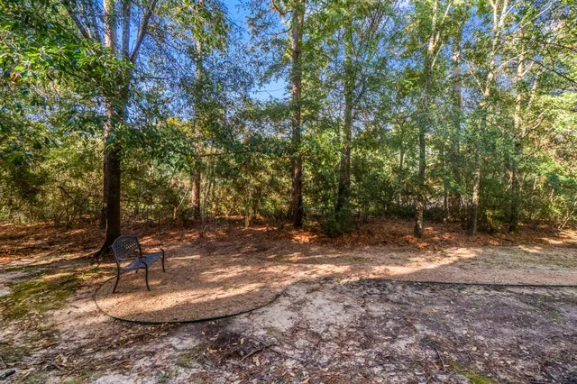 a view of a water fountain with large tree