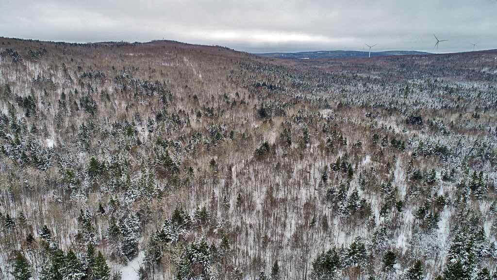 Lot 14 Mountain Road Houlton, ME 04730 - Photo 67 of 75 wooded-land-lot-14-drews-mt